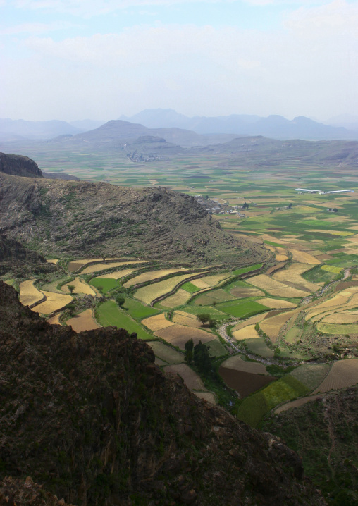Terraces planted with cereals, Ibb Governorate, Jibla, Yemen