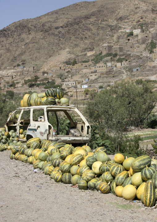 Watermelons sold along the road on an abandoned car, Amran Governorate, Hababah, Yemen