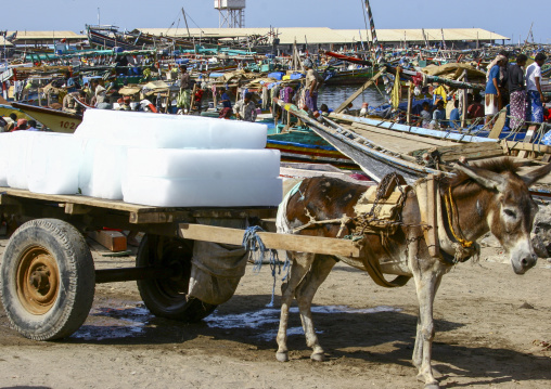 Ice blocks on a cart in the market, Al Hudaydah Governorate, Hodeidah, Yemen