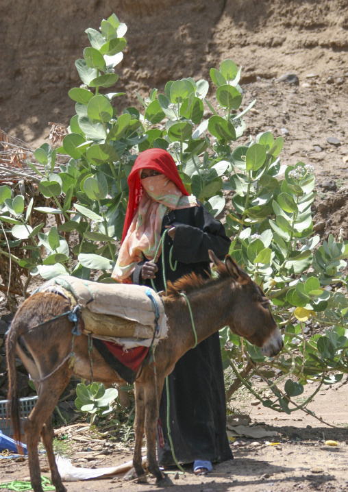 Yemleni woman with a donkey, Thiama, Wadi Mawr, Yemen