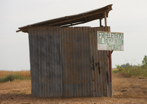 Omorate farms, Omo valley, Ethiopia