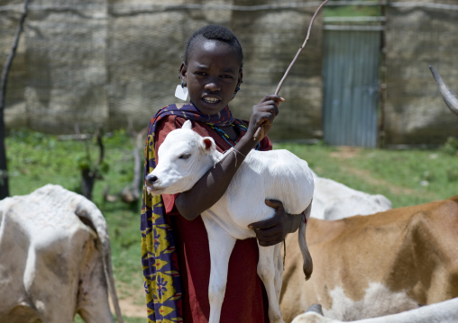 Oromo Boy And His Cow , Ethiopia
