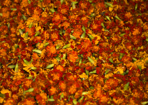 Cut Fowers At Flower Market, Pondicherry, India
