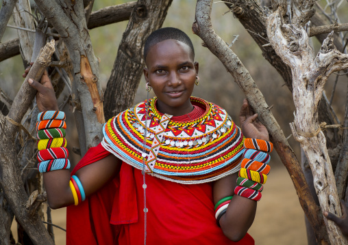 Portrait of a rendille tribeswoman, Marsabit district, Ngurunit, Kenya